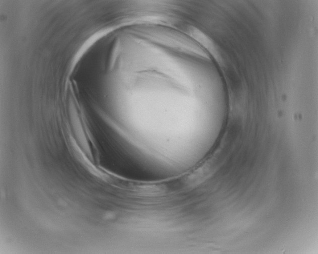 X0000060741436200511241627