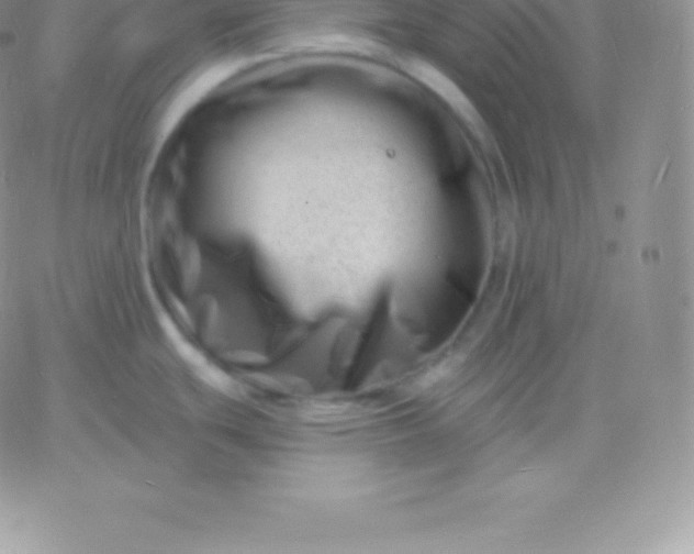 X0000060741439200511241627