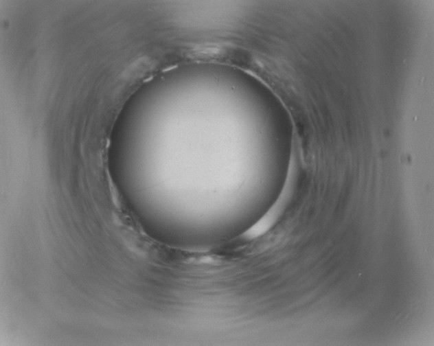 X0000060741441200511241626