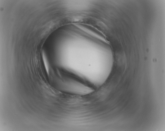 X0000060741442200511241626