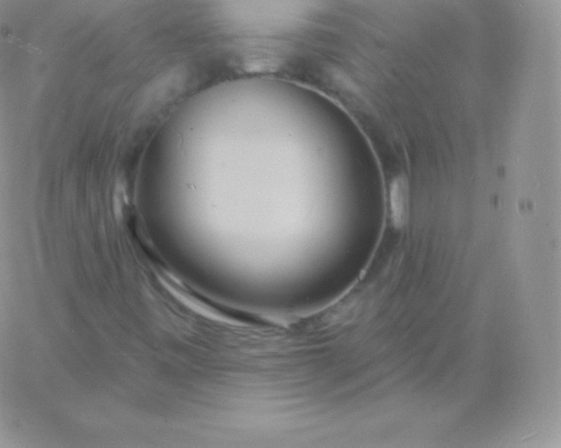 X0000060741443200511241626