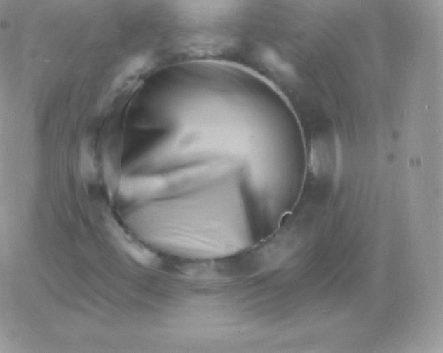 X0000060741444200511241626