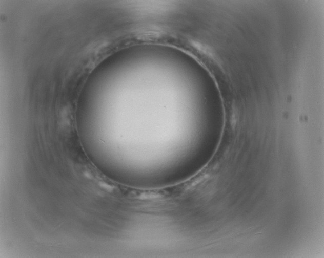 X0000060741445200511241626