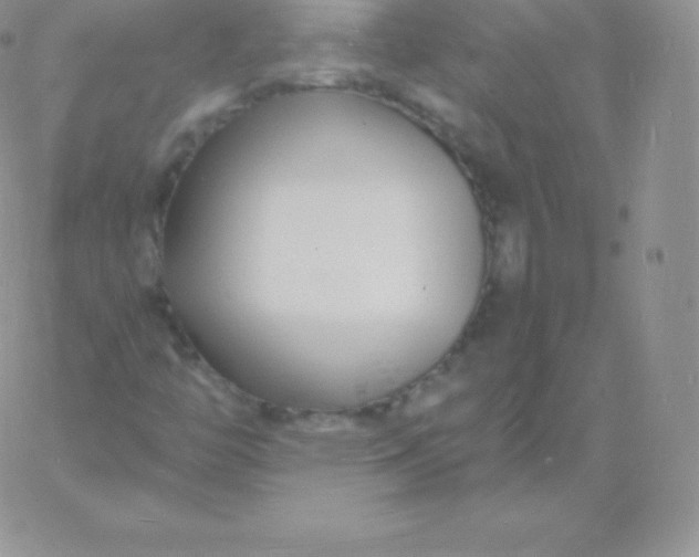 X0000060741446200511241626