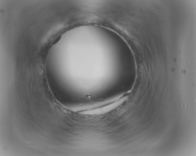 X0000060741447200511241626