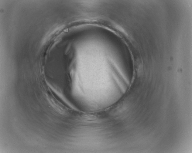 X0000060741448200511241626