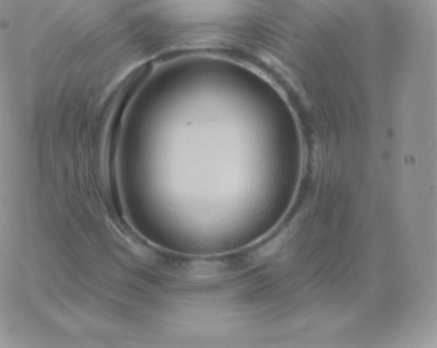 X0000060741449200511241626