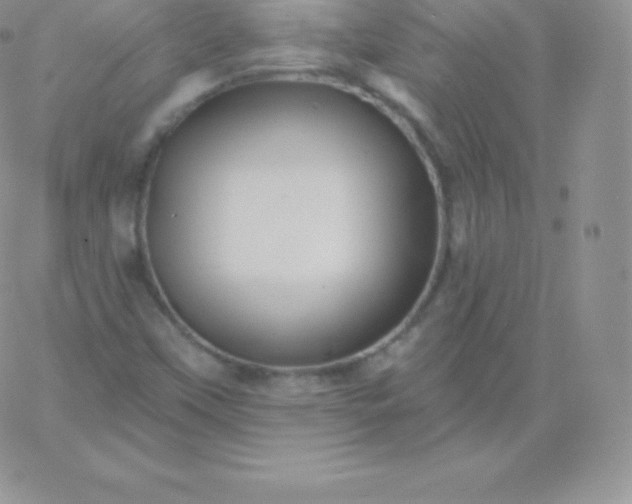 X0000060741451200511241626