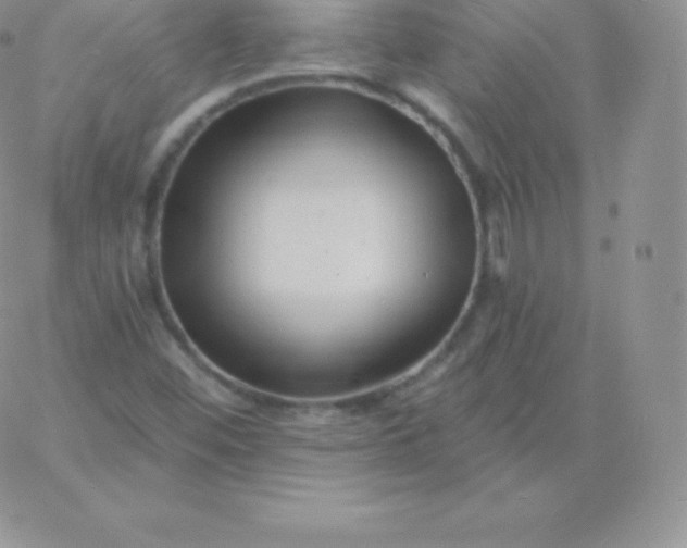 X0000060741452200511241626