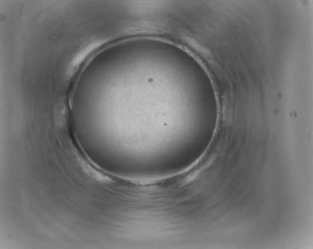 X0000060741453200511241626