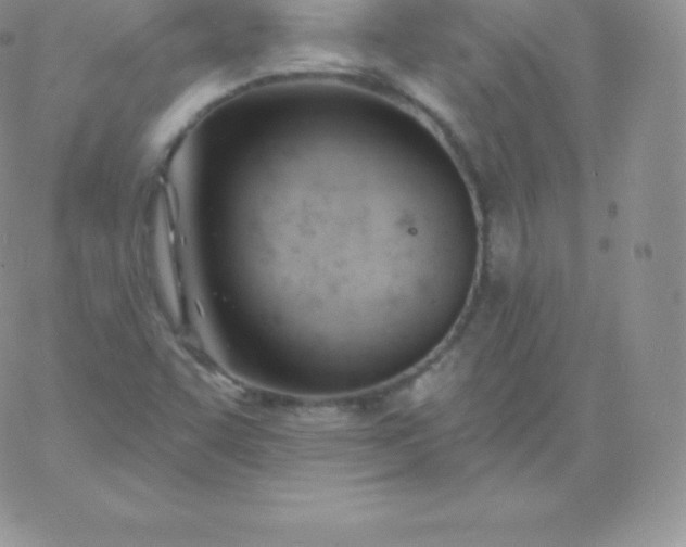 X0000060741455200511241626