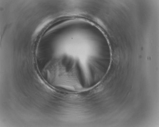 X0000060741456200511241626