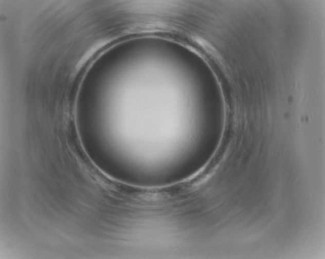 X0000060741457200511241626