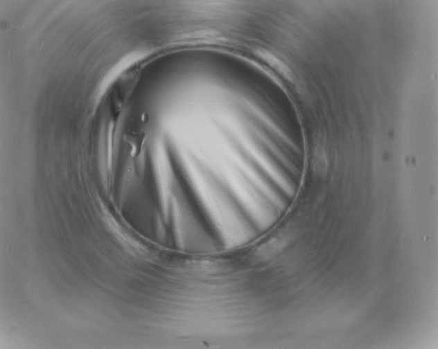 X0000060741458200511241626