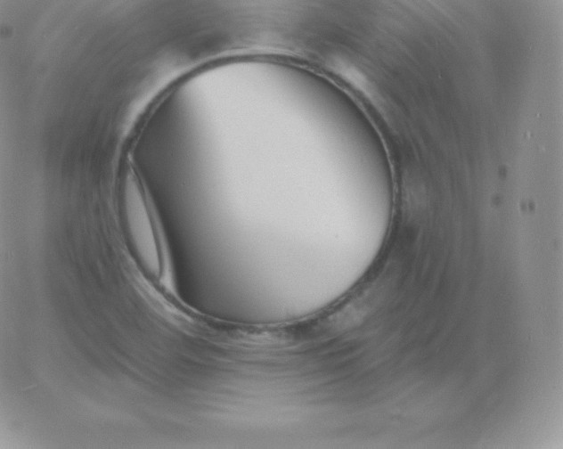 X0000060741460200511241626