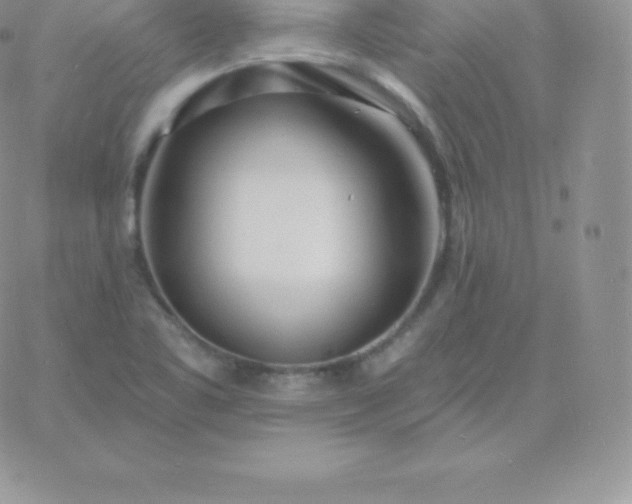 X0000060741461200511241626