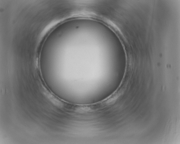 X0000060741462200511241626