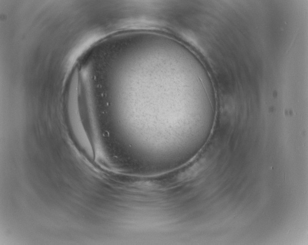 X0000060741463200511241626