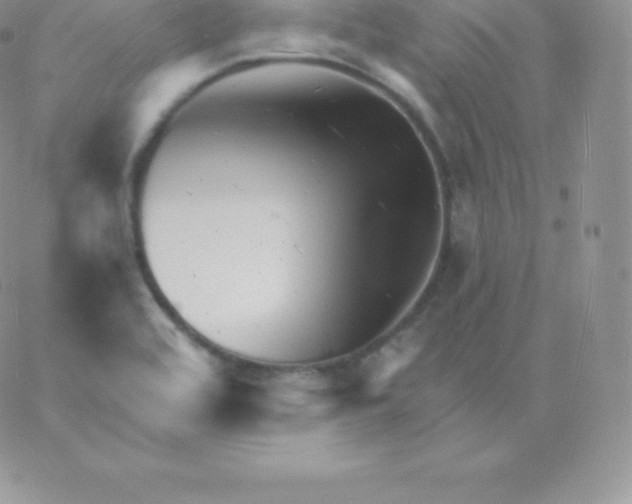 X0000060741464200511241626