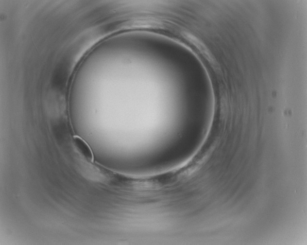 X0000060741465200511241626