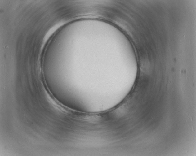 X0000060741466200511241626