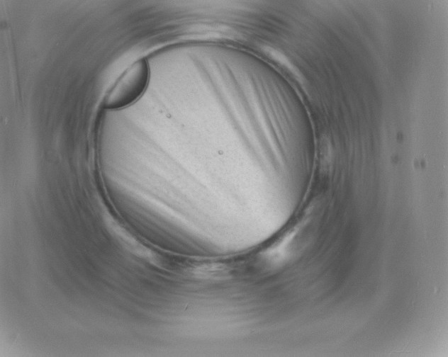 X0000060741467200511241626