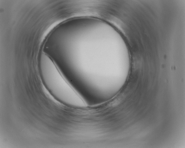 X0000060741468200511241626