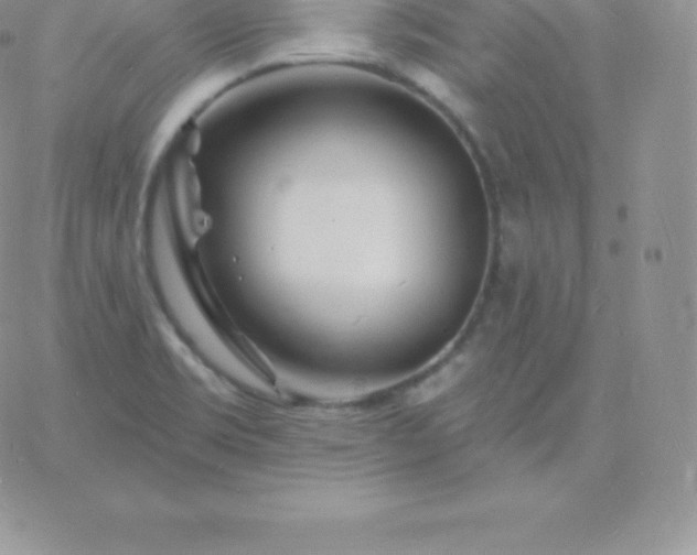 X0000060741469200511241626