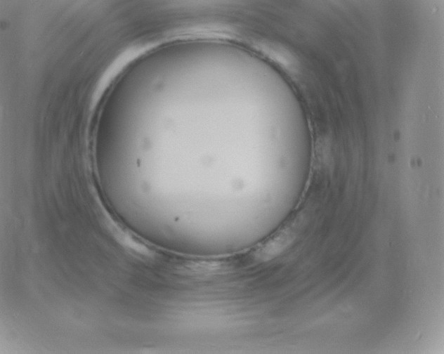 X0000060741470200511241626