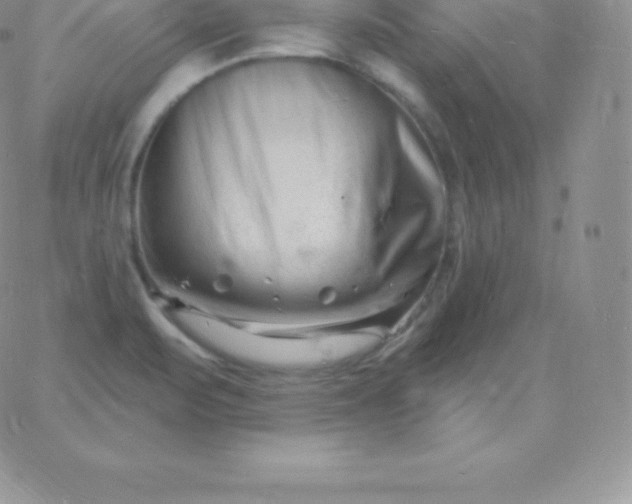 X0000060741471200511241626