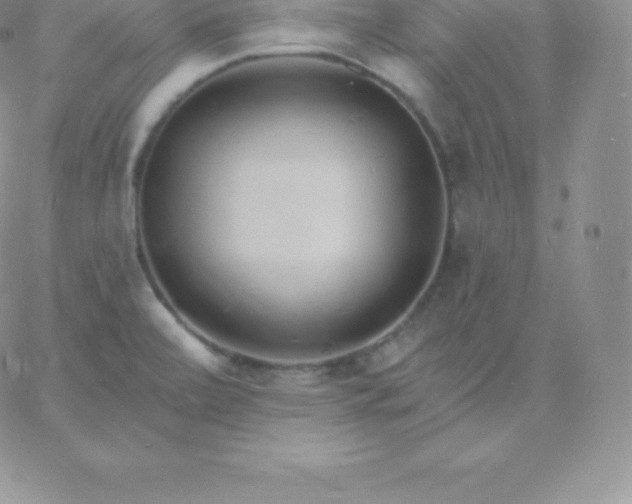 X0000060741472200511241625