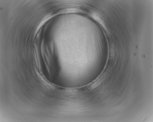 X0000060741473200511241625