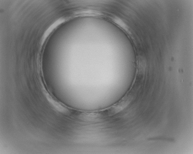 X0000060741474200511241625