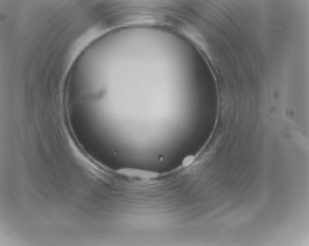 X0000060741475200511241625