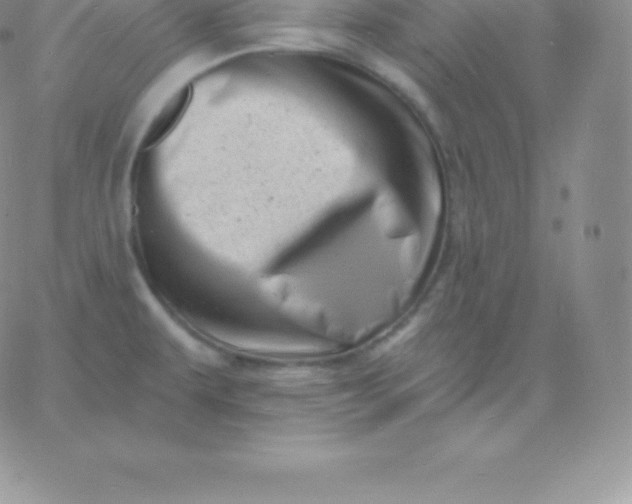 X0000060741479200511241625