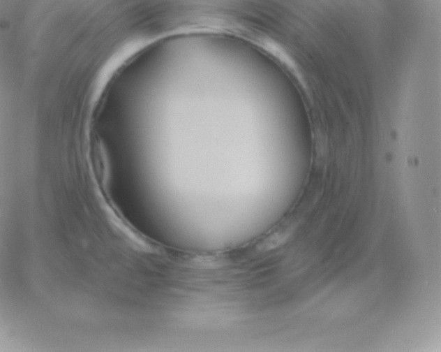 X0000060741480200511241625