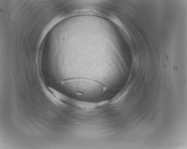 X0000060741482200511241625