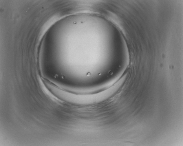 X0000060741483200511241625