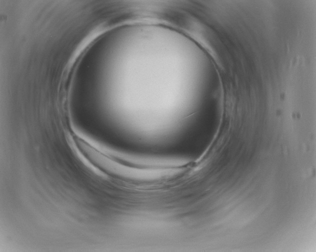 X0000060741484200511241625