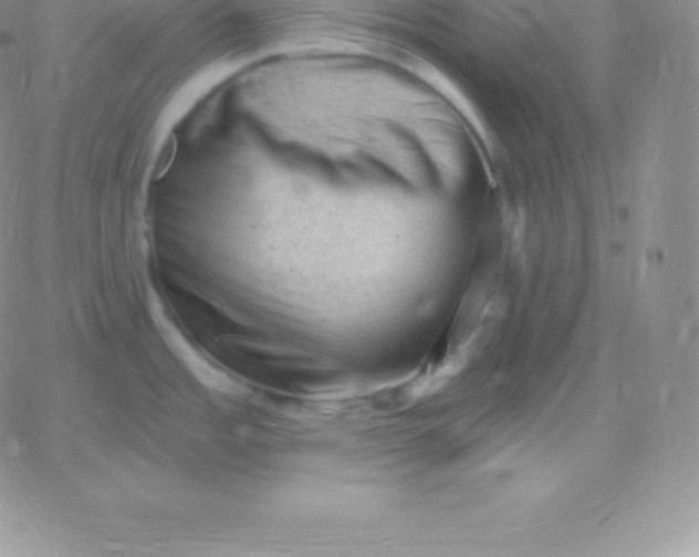 X0000060741485200511241625