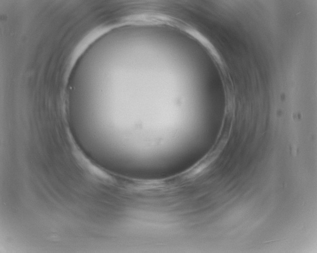 X0000060741486200511241625