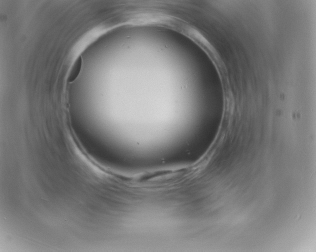 X0000060741487200511241625