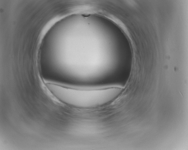 X0000060741488200511241625