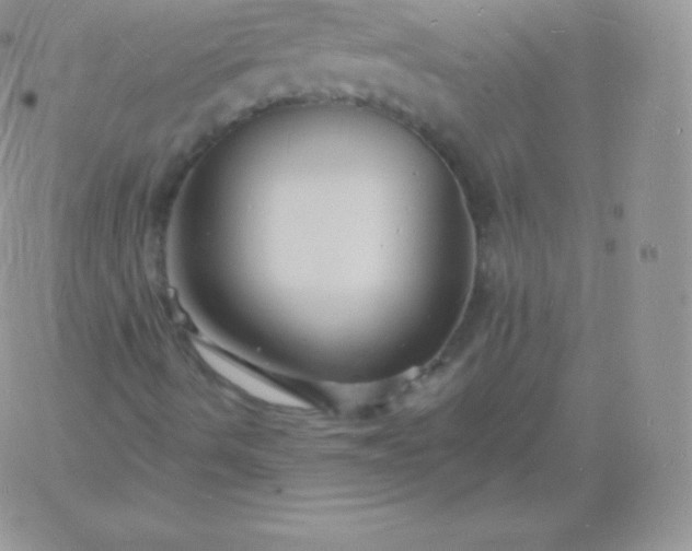 X0000060741490200511241624