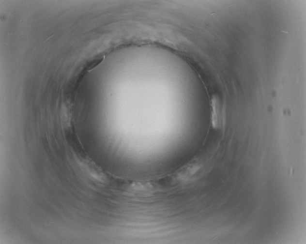 X0000060741491200511241624