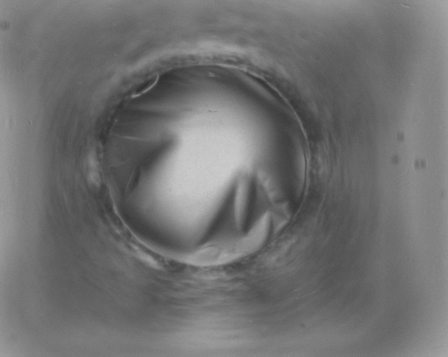 X0000060741493200511241625