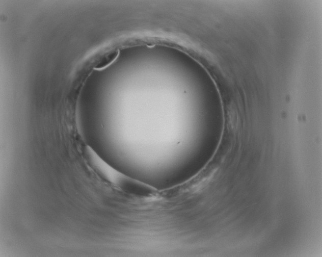 X0000060741494200511241625