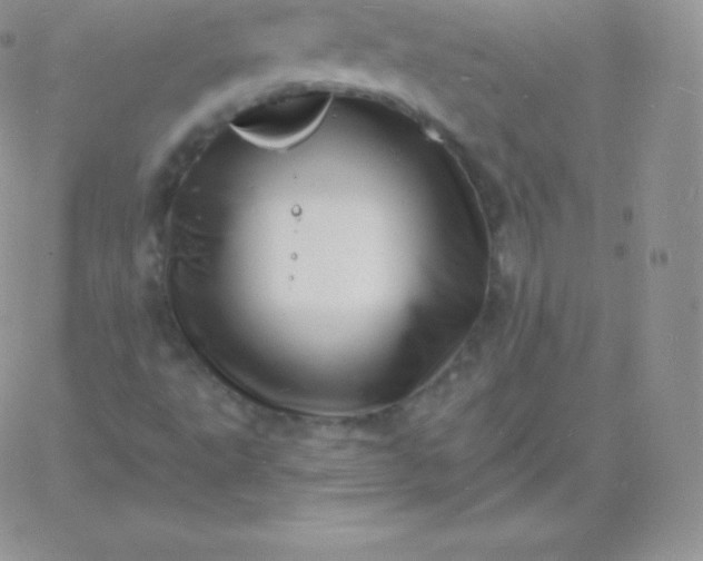 X0000060741495200511241625