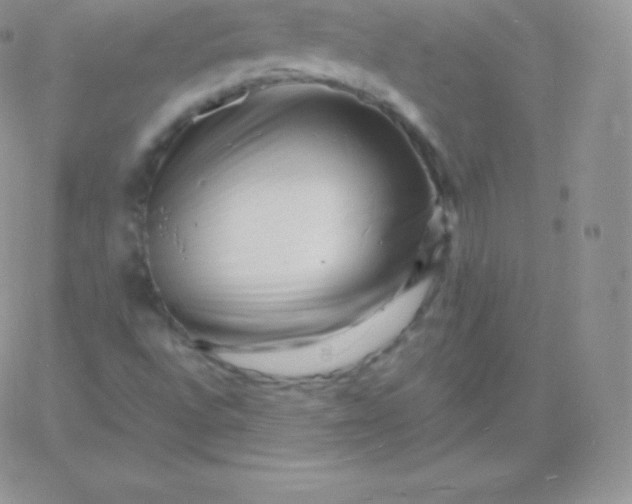 X0000060741496200511241625