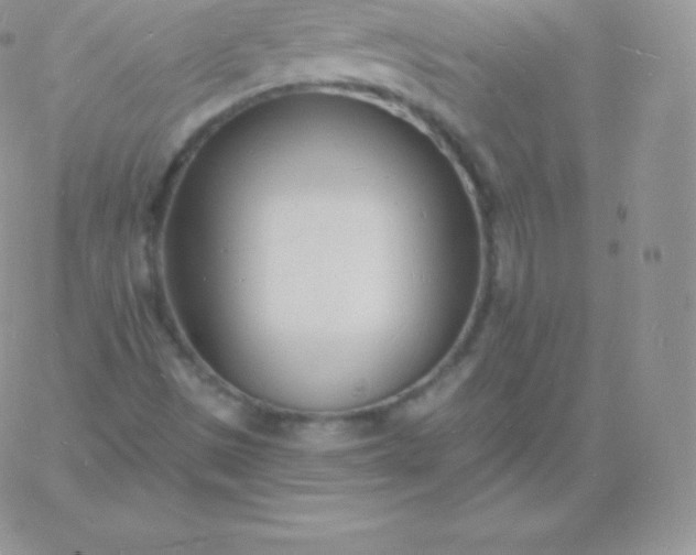 X0000060741497200511241625